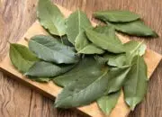 Selain untuk Masak, Ini Manfaat Daun Salam Lainnya untuk Kesehatan